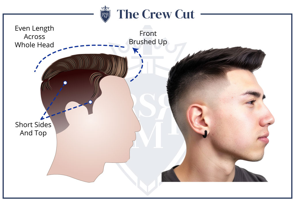 Diagram and example photo of a crew cut hairstyle showing short sides, even length on top, and brushed-up front.